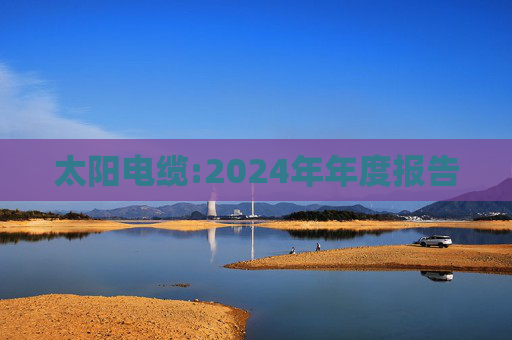 太阳电缆:2024年年度报告