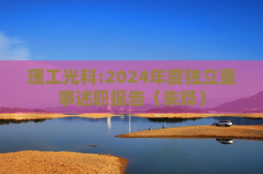 理工光科:2024年度独立董事述职报告（朱晔）  第1张