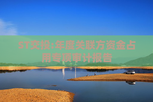 ST交投:年度关联方资金占用专项审计报告  第1张