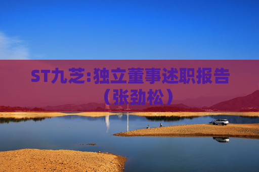ST九芝:独立董事述职报告（张劲松）  第1张