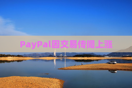 PayPal因交易传闻上涨