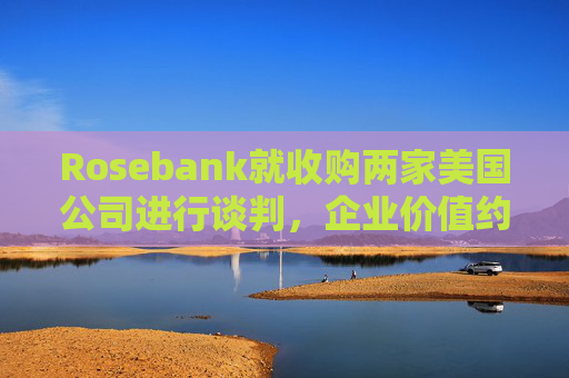 Rosebank就收购两家美国公司进行谈判，企业价值约30.5 亿美元
