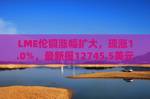 LME伦铜涨幅扩大，现涨1.0%，最新报12745.5美元/吨