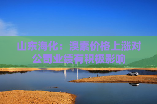 山东海化：溴素价格上涨对公司业绩有积极影响  第1张