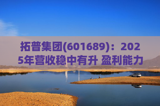 拓普集团(601689)：2025年营收稳中有升 盈利能力短期承压