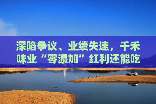 深陷争议、业绩失速，千禾味业“零添加”红利还能吃多久  第1张