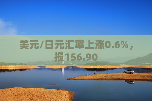 美元/日元汇率上涨0.6%，报156.90