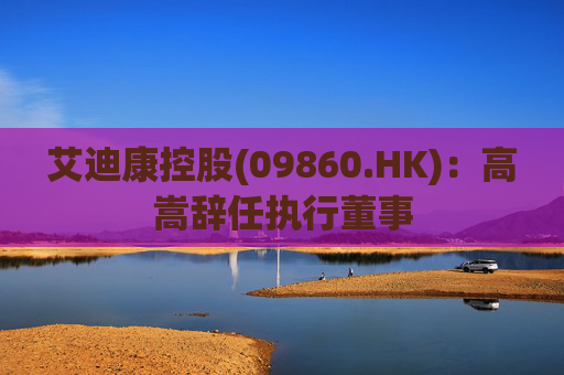艾迪康控股(09860.HK)：高嵩辞任执行董事