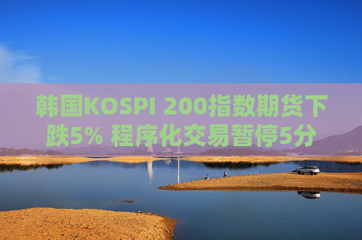 韩国KOSPI 200指数期货下跌5% 程序化交易暂停5分钟