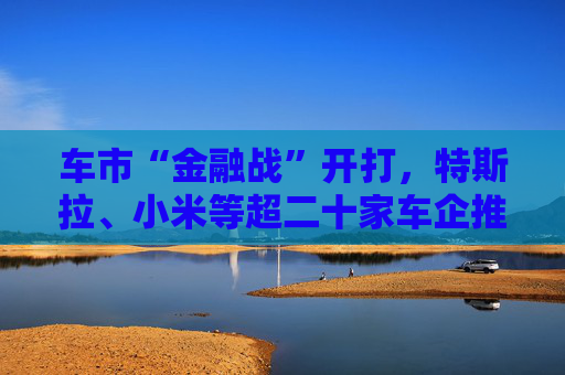 车市“金融战”开打，特斯拉、小米等超二十家车企推七年超长贷