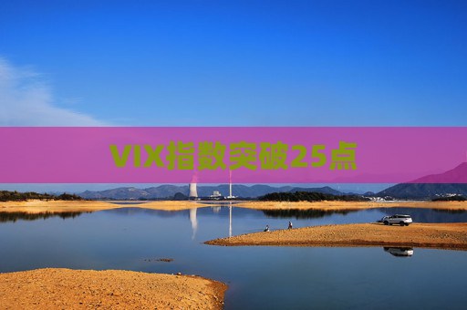 VIX指数突破25点