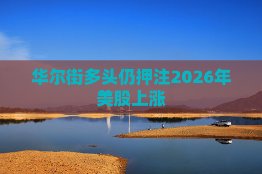 华尔街多头仍押注2026年美股上涨