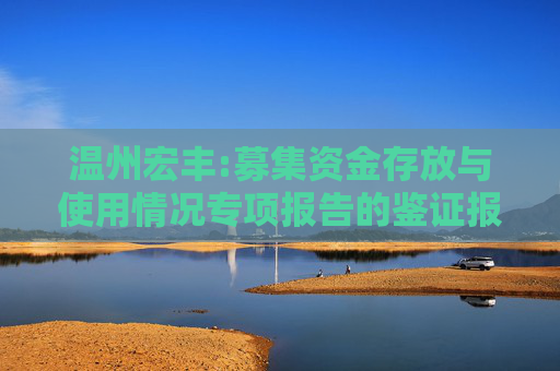 温州宏丰:募集资金存放与使用情况专项报告的鉴证报告（2024年度）