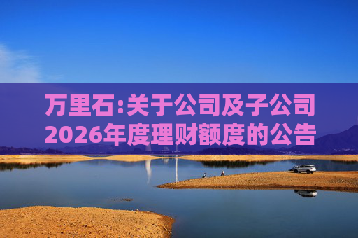 万里石:关于公司及子公司2026年度理财额度的公告