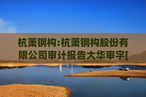 杭萧钢构:杭萧钢构股份有限公司审计报告大华审字[2025]0011010103号