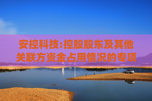 安控科技:控股股东及其他关联方资金占用情况的专项说明_德皓核字[2025]00000611号  第1张