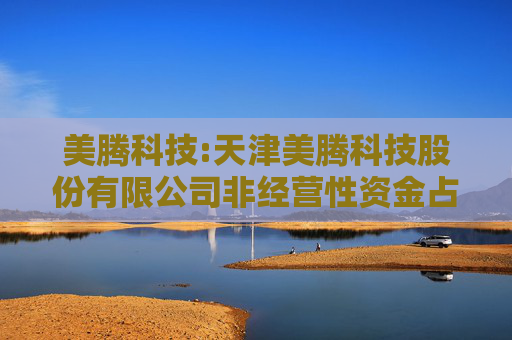 美腾科技:天津美腾科技股份有限公司非经营性资金占用及其他关联资金往来情况专项说明