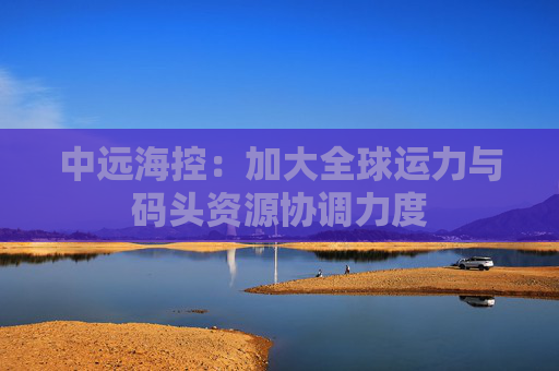 中远海控：加大全球运力与码头资源协调力度  第1张