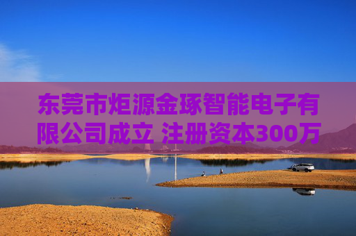东莞市炬源金琢智能电子有限公司成立 注册资本300万人民币