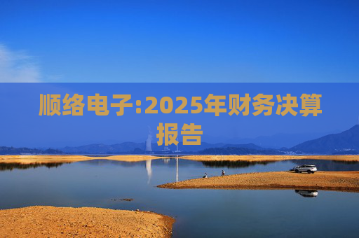顺络电子:2025年财务决算报告  第1张