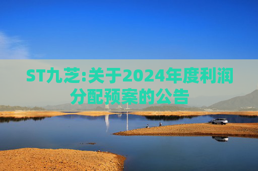 ST九芝:关于2024年度利润分配预案的公告  第1张