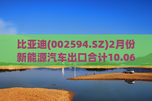 比亚迪(002594.SZ)2月份新能源汽车出口合计10.06万辆  第1张