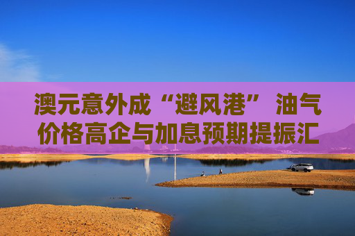 澳元意外成“避风港” 油气价格高企与加息预期提振汇率