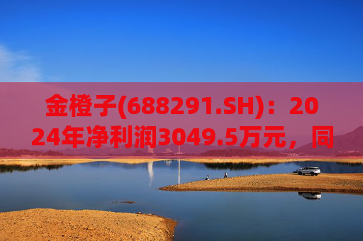 金橙子(688291.SH)：2024年净利润3049.5万元，同比下降27.78%  第1张
