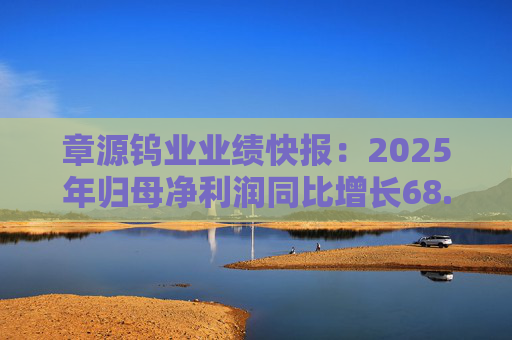 章源钨业业绩快报：2025年归母净利润同比增长68.73%