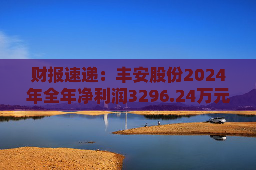 财报速递：丰安股份2024年全年净利润3296.24万元