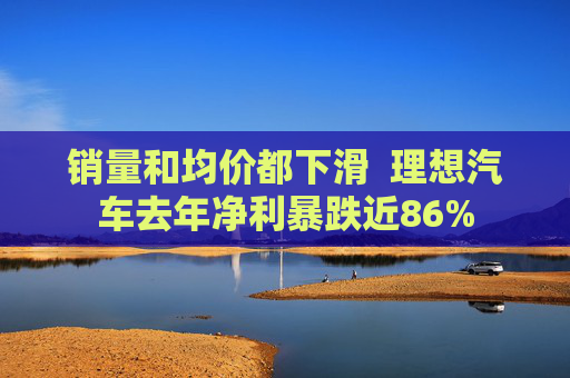 销量和均价都下滑  理想汽车去年净利暴跌近86%