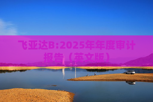 飞亚达B:2025年年度审计报告（英文版）