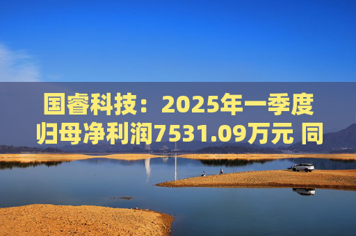 国睿科技：2025年一季度归母净利润7531.09万元 同比下降34.81%  第1张