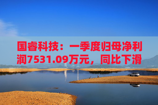 国睿科技：一季度归母净利润7531.09万元，同比下滑34.81%  第1张