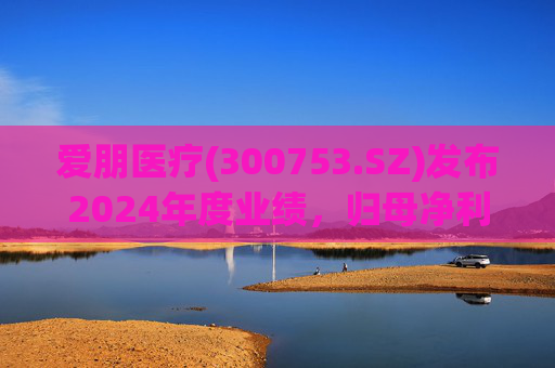 爱朋医疗(300753.SZ)发布2024年度业绩，归母净利润1080.07万元，增长30.49%  第1张