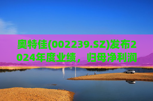 奥特佳(002239.SZ)发布2024年度业绩，归母净利润1.06亿元，同比增长44.41%