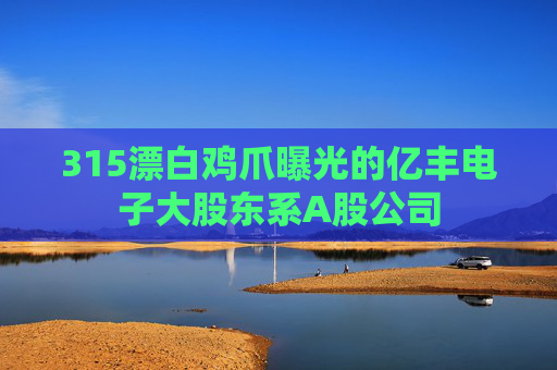 315漂白鸡爪曝光的亿丰电子大股东系A股公司