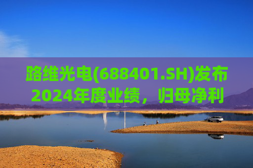 路维光电(688401.SH)发布2024年度业绩，归母净利润1.91亿元，同比增长28.27%