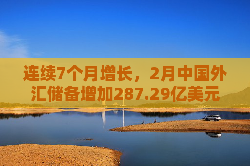 连续7个月增长，2月中国外汇储备增加287.29亿美元