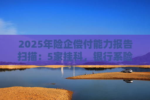 2025年险企偿付能力报告扫描：5家挂科，银行系险企保费高增
