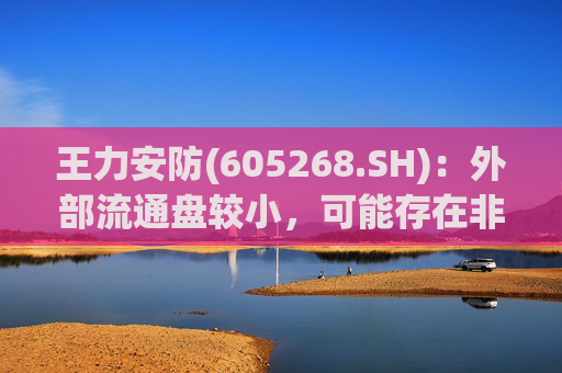 王力安防(605268.SH)：外部流通盘较小，可能存在非理性炒作风险