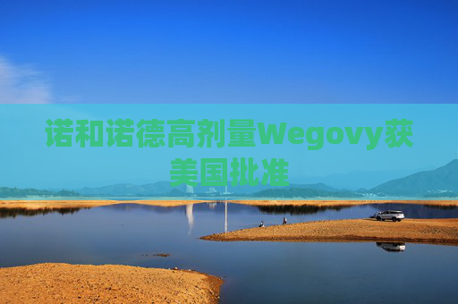 诺和诺德高剂量Wegovy获美国批准