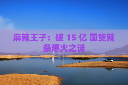 麻辣王子：破 15 亿 国货辣条爆火之谜