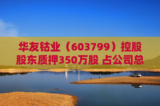 华友钴业（603799）控股股东质押350万股 占公司总股本比例0.18%