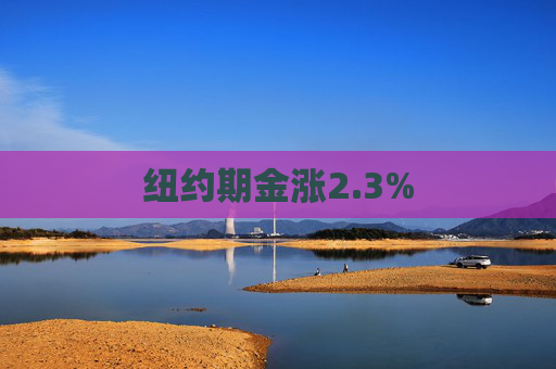 纽约期金涨2.3%
