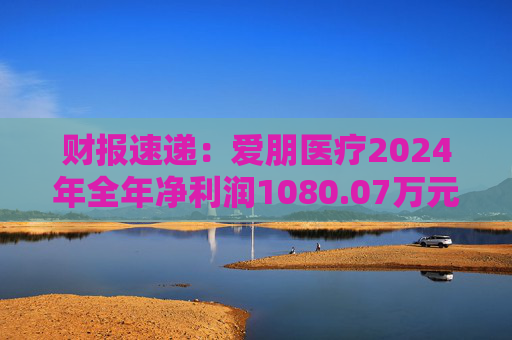 财报速递：爱朋医疗2024年全年净利润1080.07万元  第1张