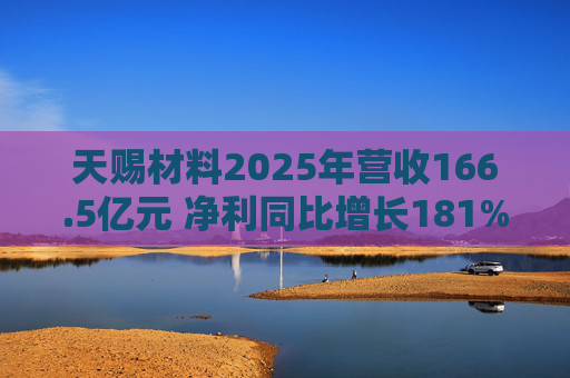 天赐材料2025年营收166.5亿元 净利同比增长181%