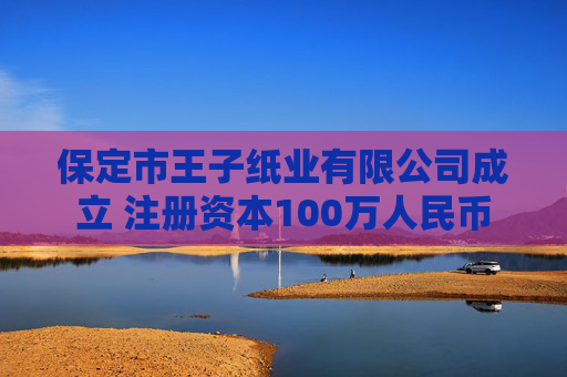 保定市王子纸业有限公司成立 注册资本100万人民币  第1张