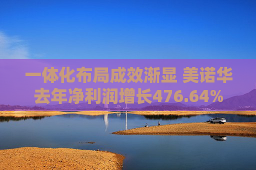 一体化布局成效渐显 美诺华去年净利润增长476.64%