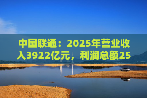 中国联通：2025年营业收入3922亿元，利润总额253亿元